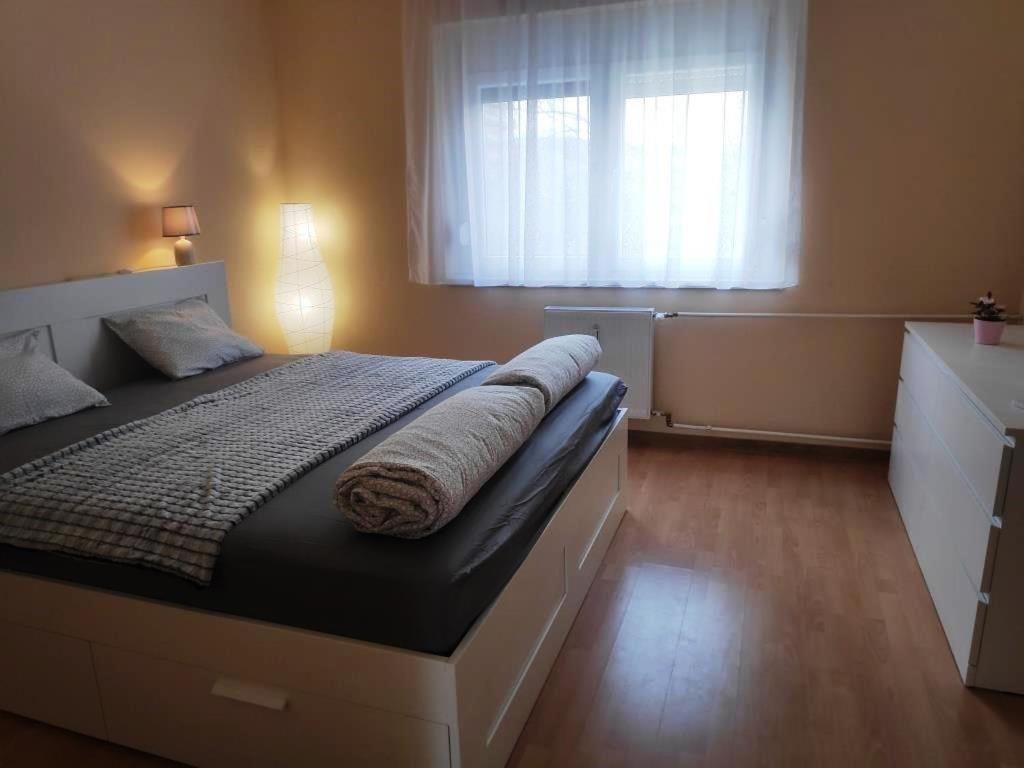 SzekszárdKoelcsey Apartman公寓 外观 照片