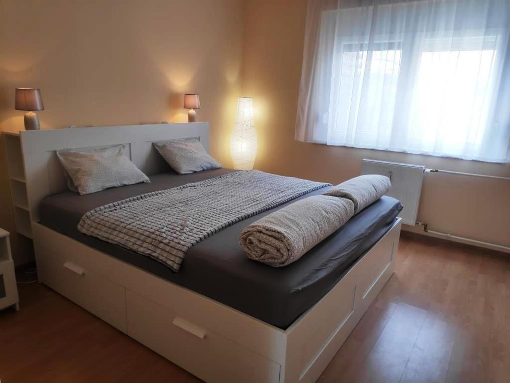 SzekszárdKoelcsey Apartman公寓 外观 照片